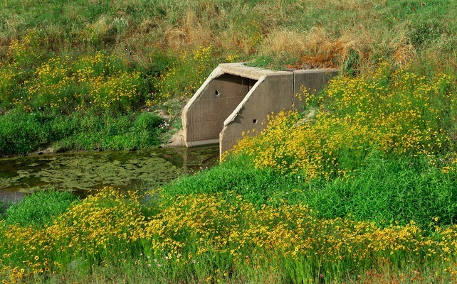 почистването на каналите в Бургас